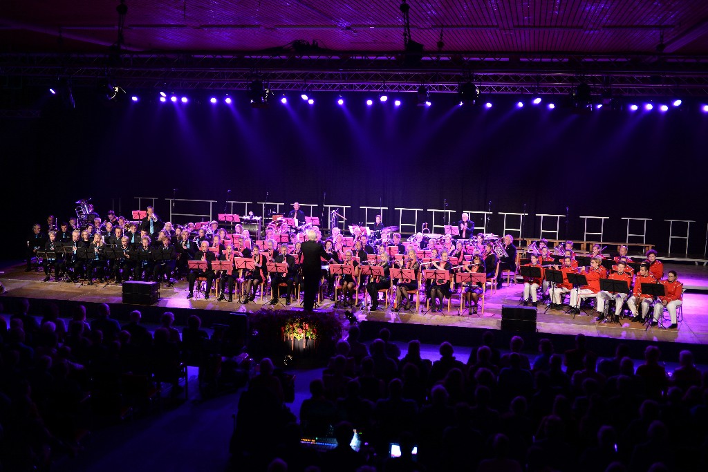 ../Images/Jubileumconcert 100 jaar Harpe Davids 258.jpg